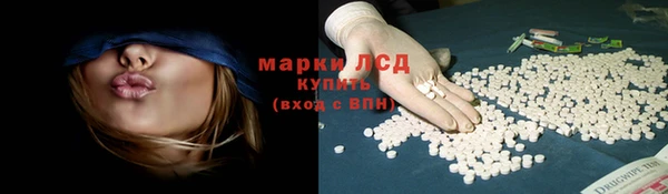 PSILOCYBIN Богородск