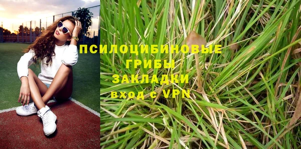 PSILOCYBIN Богородск